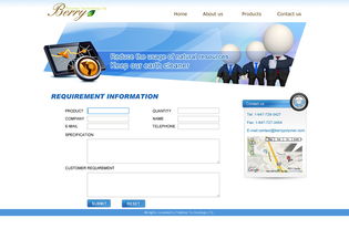 網(wǎng)頁(yè)與網(wǎng)站設(shè)計(jì) 構(gòu)建企業(yè)數(shù)字門(mén)戶(hù)的藝術(shù)與科學(xué)